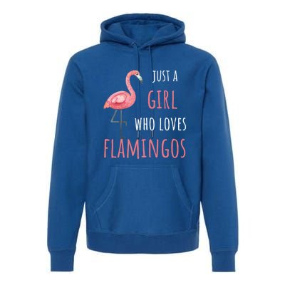 Flamingo Great Gift/ Gift Who Loves Flamingos Gift Premium Hoodie