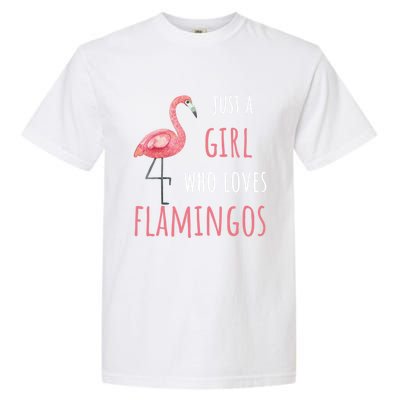 Flamingo Great Gift/ Gift Who Loves Flamingos Gift Garment-Dyed Heavyweight T-Shirt