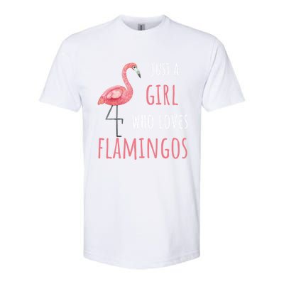 Flamingo Great Gift/ Gift Who Loves Flamingos Gift Softstyle CVC T-Shirt