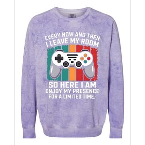 Funny Gamer Gaming Gamer Video Console Lover Humor Funny Gift Colorblast Crewneck Sweatshirt