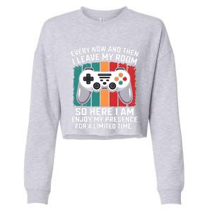 Funny Gamer Gaming Gamer Video Console Lover Humor Funny Gift Cropped Pullover Crew