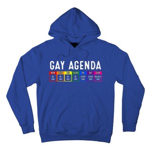 Funny Gay Gift Lgbt Pride Feminist Agenda Homo Great Gift Hoodie