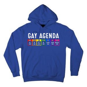 Funny Gay Gift Lgbt Pride Feminist Agenda Homo Great Gift Tall Hoodie