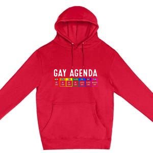 Funny Gay Gift Lgbt Pride Feminist Agenda Homo Great Gift Premium Pullover Hoodie