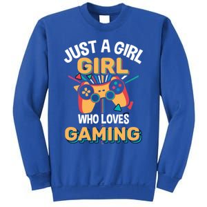 Funny Gaming Gift Just A Who Loves Gaming Gamer Geek Gift Sweatshirt