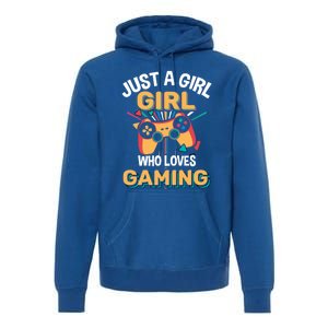 Funny Gaming Gift Just A Who Loves Gaming Gamer Geek Funny Gift Premium Hoodie