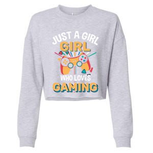 Funny Gaming Gift Just A Who Loves Gaming Gamer Geek Funny Gift Cropped Pullover Crew