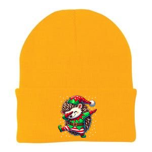 Funny Gift Hedgehog Lover Christmas Hedgehog Elf Knit Cap Winter Beanie