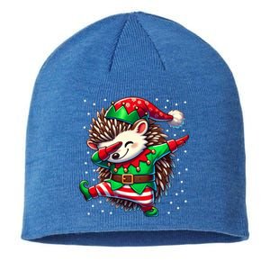 Funny Gift Hedgehog Lover Christmas Hedgehog Elf Sustainable Beanie