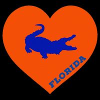 Florida Gator Hear PIllow Bag Tall T-Shirt