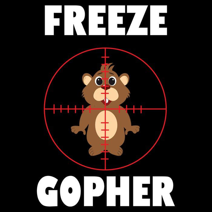 Freeze Gopher Boseeye Tank Top