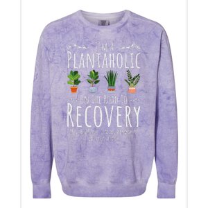 Funny Gardener IM A Plantaholic On The Road To Recovery Colorblast Crewneck Sweatshirt