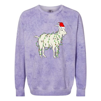 Funny Goat In Tangled Christmas Lights Santa Claus Hat Colorblast Crewneck Sweatshirt