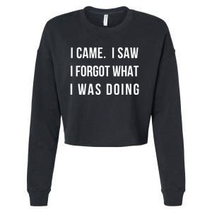 Funny Gift I Came I Saw I Forgot What I Was Doing Sarcastic Gift Cropped Pullover Crew