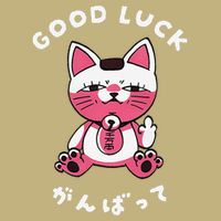 Funny Good Luck Japanese Cat Turbo Granny Yokai Cat Sarcasm T-Shirt