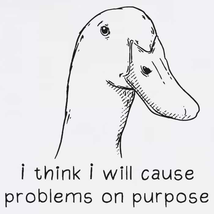 Funny Goose Meme I Think I Will Cause Problems On Purpose T-Shirt