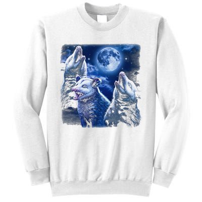 Funny Graphic Moons Opossum Starry Night & Opossums Possum Animals Sweatshirt