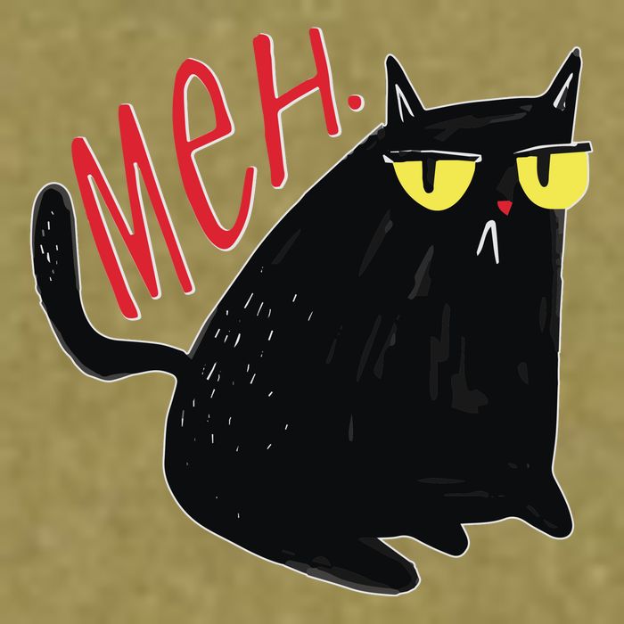 Funny Grumpy Meh Cat Garment-Dyed Women's Muscle Tee