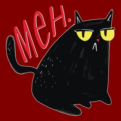 Funny Grumpy Meh Cat T-Shirt
