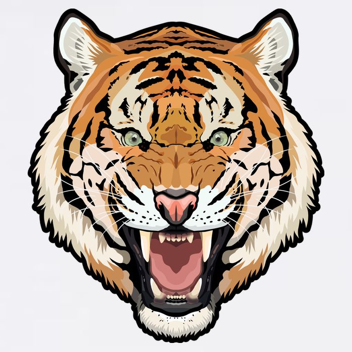 Funny Growling Mouth Open Bengal Tiger Apron