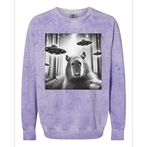 Funny Graphic Novelty Capybara Selfie With Ufo Weird Silly Colorblast Crewneck Sweatshirt