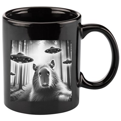Funny Graphic Novelty Capybara Selfie With Ufo Weird Silly 11oz C Handle Ceramic Mug