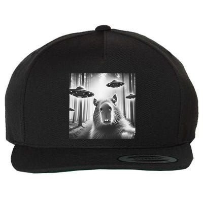Funny Graphic Novelty Capybara Selfie With Ufo Weird Silly Wool Snapback Cap
