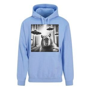 Funny Graphic Novelty Capybara Selfie With Ufo Weird Silly Unisex Surf Hoodie