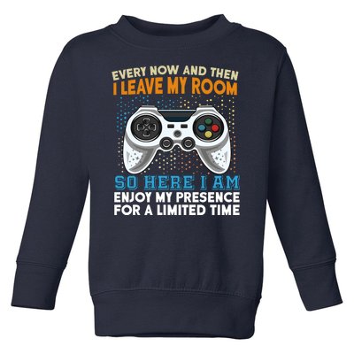 Funny Gamer Nerd Gaming Toddler Sweatshirt