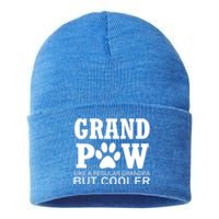 Funny Grand Paw Like A Regular Grandpa But Cooler Lovers Gift Sustainable Knit Beanie