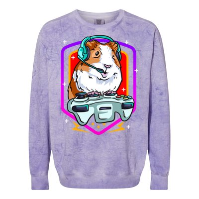 Funny Guinea Pig Gaming Gamer Hamster Furry Potato Hamsters Gift Colorblast Crewneck Sweatshirt