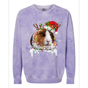 Funny Guinea Pig Reindeer Christmas Tree Light Guinea Pig Swea Colorblast Crewneck Sweatshirt