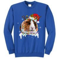 Funny Guinea Pig Reindeer Christmas Tree Light Guinea Pig Swea Tall Sweatshirt