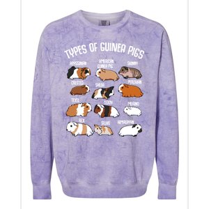 Funny Guinea Pigs Household Pet Animal Rodent Fluffy Cute Colorblast Crewneck Sweatshirt