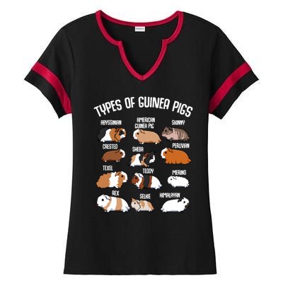 Funny Guinea Pigs Household Pet Animal Rodent Fluffy Cute Ladies Halftime Notch Neck Tee