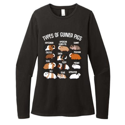 Funny Guinea Pigs Household Pet Animal Rodent Fluffy Cute Womens CVC Long Sleeve Shirt