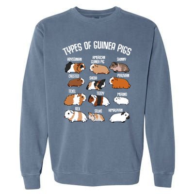 Funny Guinea Pigs Household Pet Animal Rodent Fluffy Cute Garment-Dyed Sweatshirt