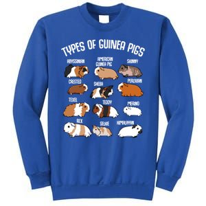 Funny Guinea Pigs Household Pet Animal Rodent Fluffy Cute Sweatshirt