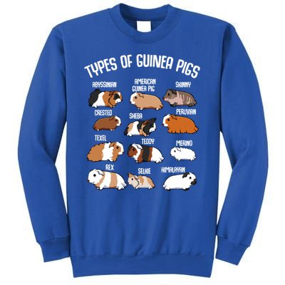 Funny Guinea Pigs Household Pet Animal Rodent Fluffy Cute Sweatshirt