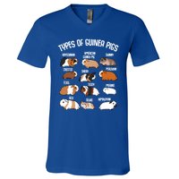 Funny Guinea Pigs Household Pet Animal Rodent Fluffy Cute V-Neck T-Shirt