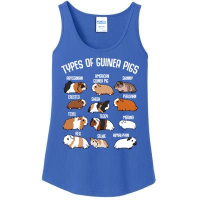 Funny Guinea Pigs Household Pet Animal Rodent Fluffy Cute Ladies Essential Tank