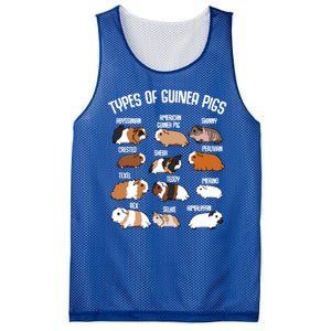 Funny Guinea Pigs Household Pet Animal Rodent Fluffy Cute Mesh Reversible Basketball Jersey Tank