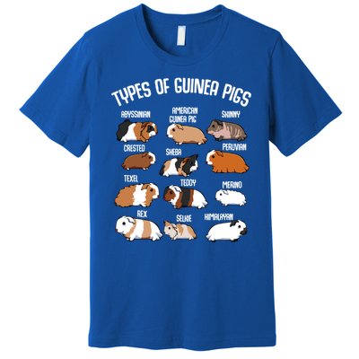 Funny Guinea Pigs Household Pet Animal Rodent Fluffy Cute Premium T-Shirt