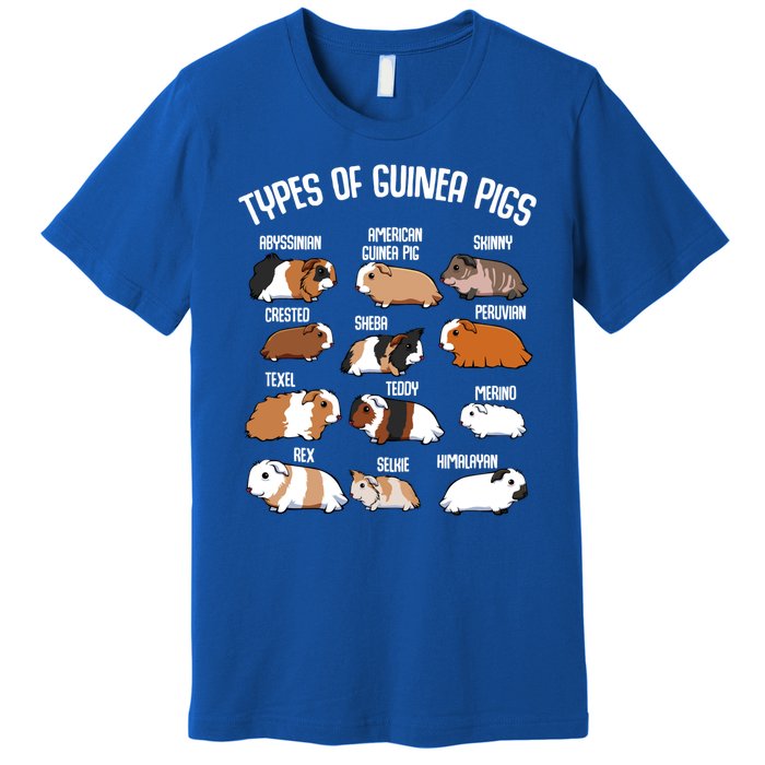 Funny Guinea Pigs Household Pet Animal Rodent Fluffy Cute Premium T-Shirt