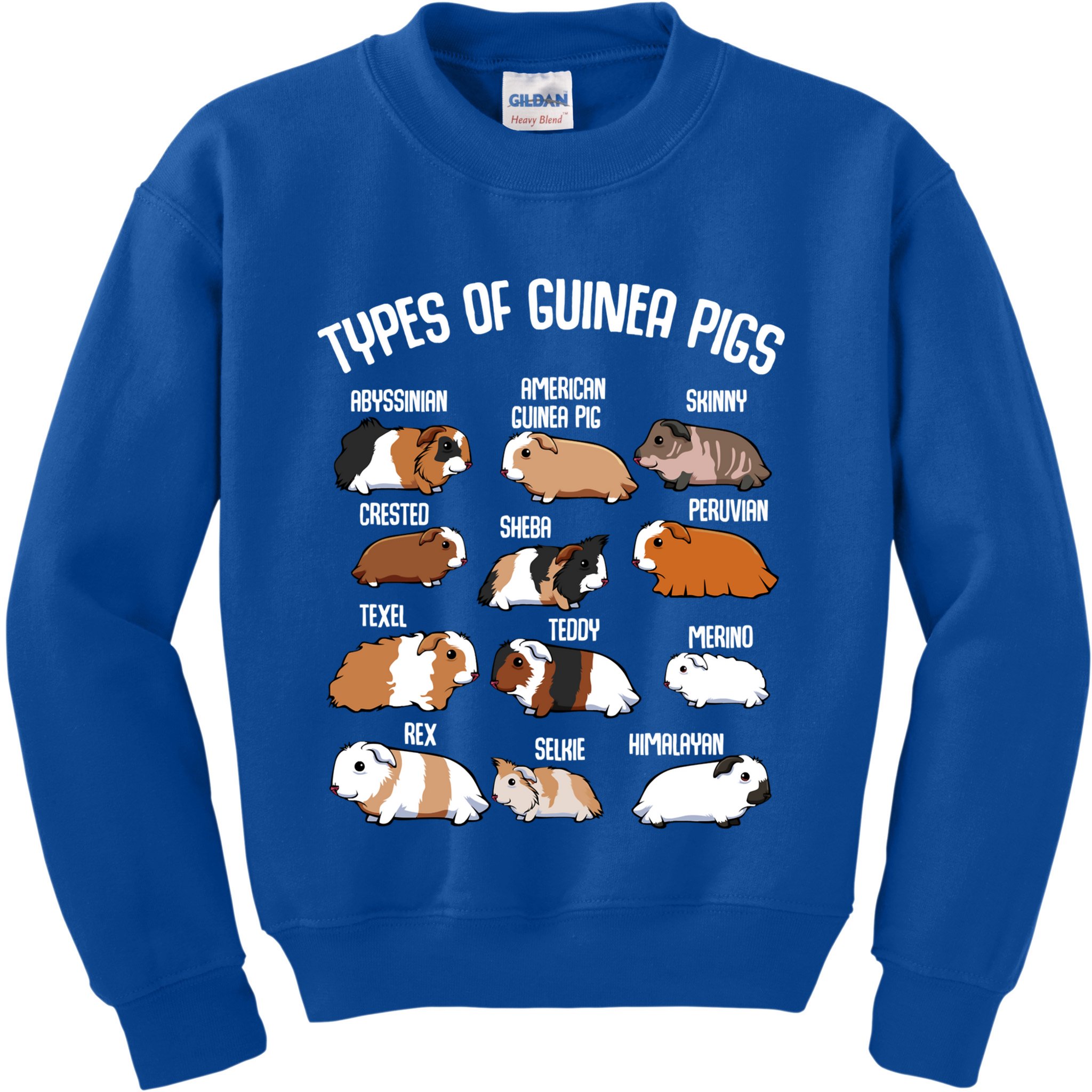 Funny Guinea Pigs Household Pet Animal Rodent Fluffy Cute Kids Sweatshirt
