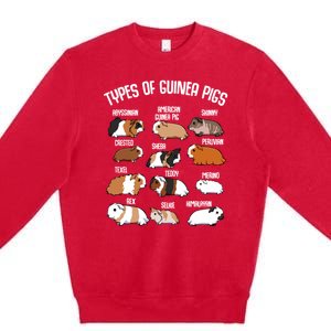 Funny Guinea Pigs Household Pet Animal Rodent Fluffy Cute Premium Crewneck Sweatshirt