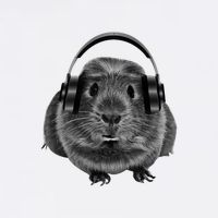 Funny Guinea Pig Graphic Tees Guinea Pig Headphones Tall T-Shirt