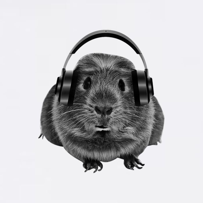 Funny Guinea Pig Graphic Tees Guinea Pig Headphones Tall T-Shirt