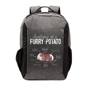 Funny Guinea Pig Guinea Pig Anatomy Guinea Pig Vector Backpack