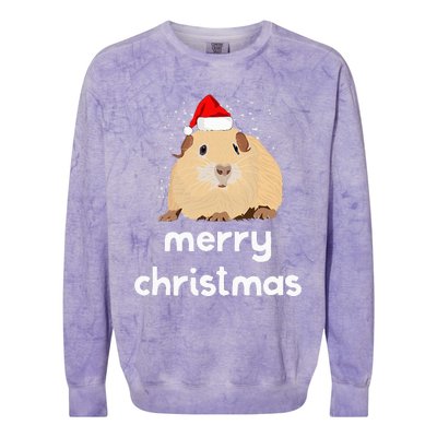 Funny Guinea Pig Christmas Cute Gift For Pig Lovers Colorblast Crewneck Sweatshirt